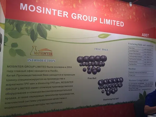 MIOGE 2015 — MOSINTER exhibition archive